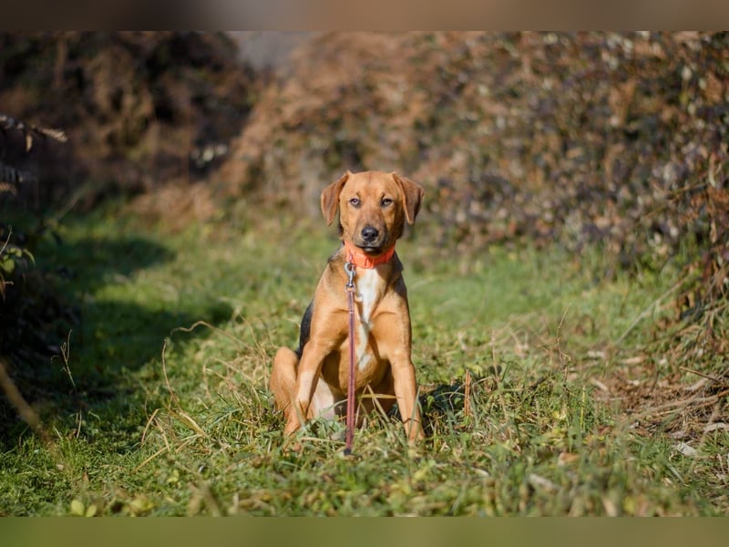 Elfy sucht ein Zuhause