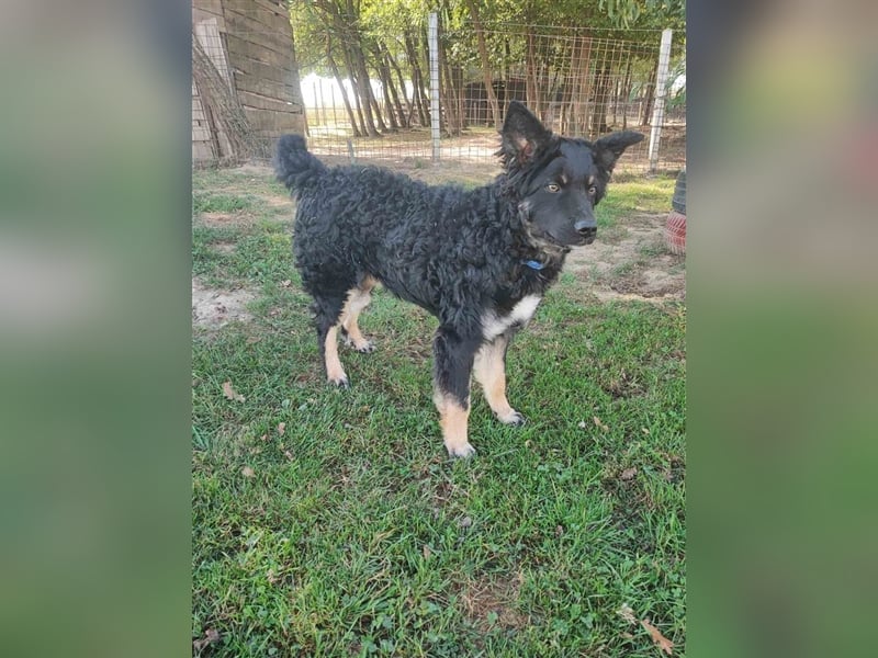 Tinky sucht ein Zuhause