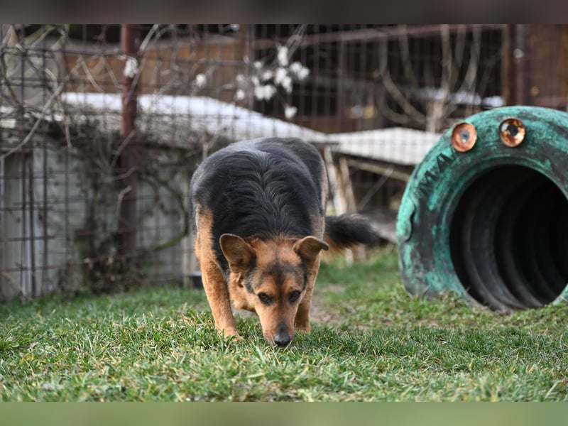 Doris - endlich ankommen und für immer bleiben