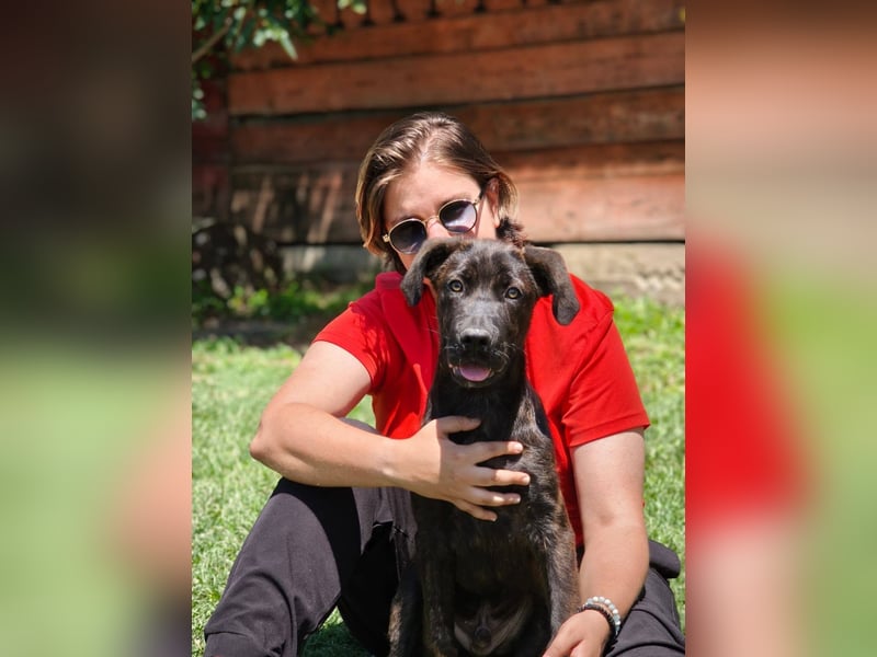 Bastian - ein kleiner Kämpfer auf der Suche nach seinem Zuhause