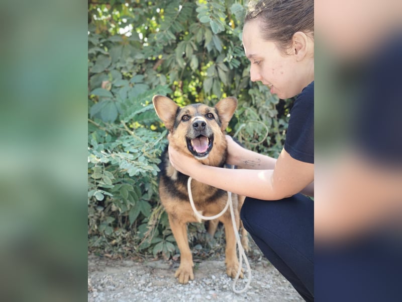 Doris - endlich ankommen und für immer bleiben