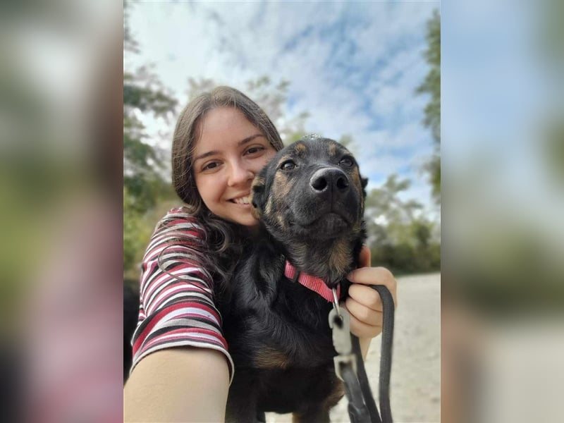Maggie sucht ein Zuhause