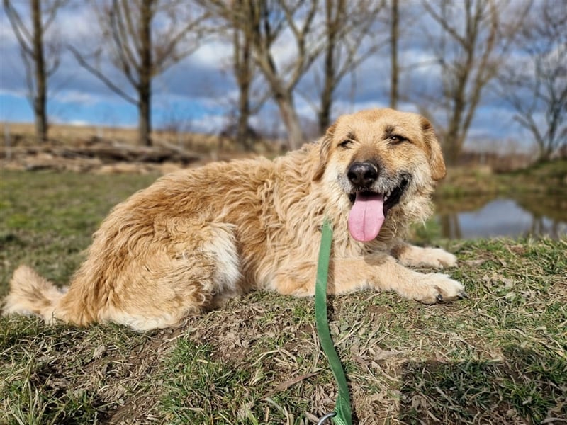 Gaspar sucht ein Zuhause