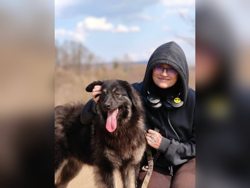 Danka - junge Mischlingshündin sucht ein liebevolles Zuhause