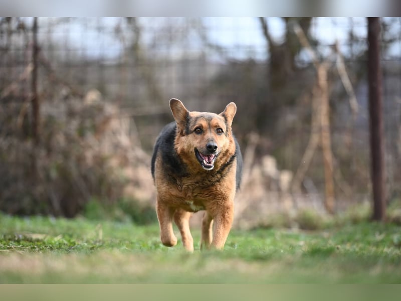 Doris - endlich ankommen und für immer bleiben
