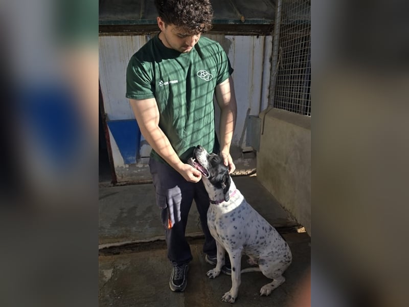 Bruno – für jeden Spaß zu haben