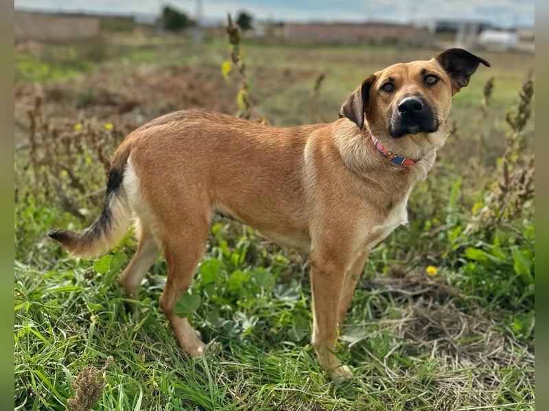 Thalia - liebevolles Kuschelmonster