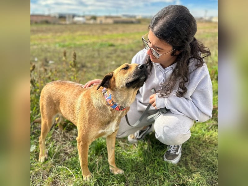 Thalia - liebevolles Kuschelmonster