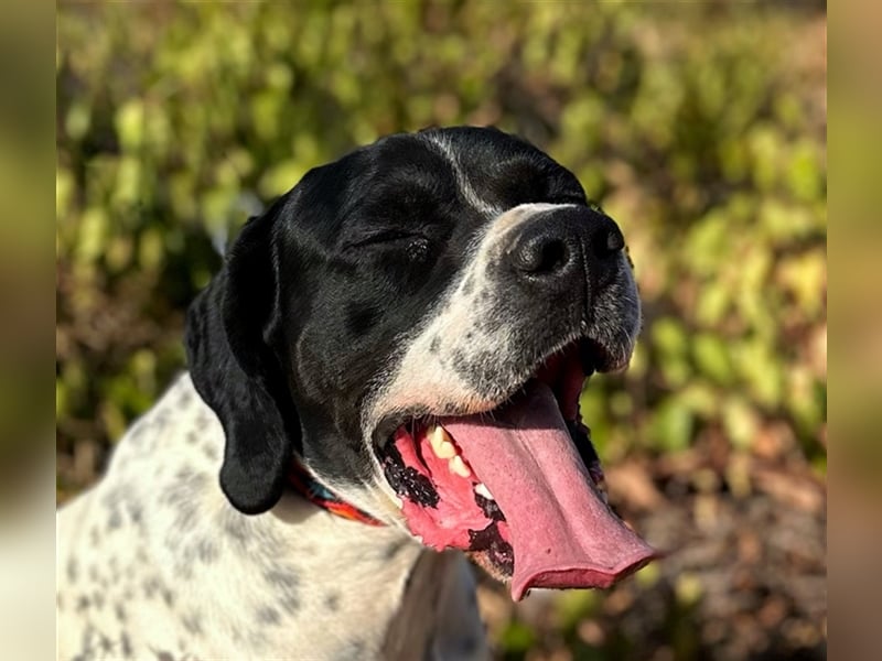 Bruno – für jeden Spaß zu haben