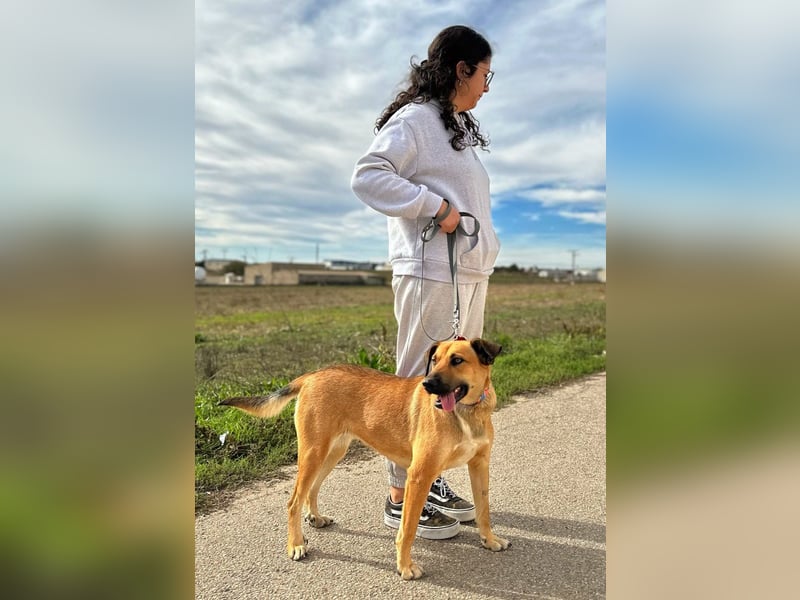 Thalia - liebevolles Kuschelmonster