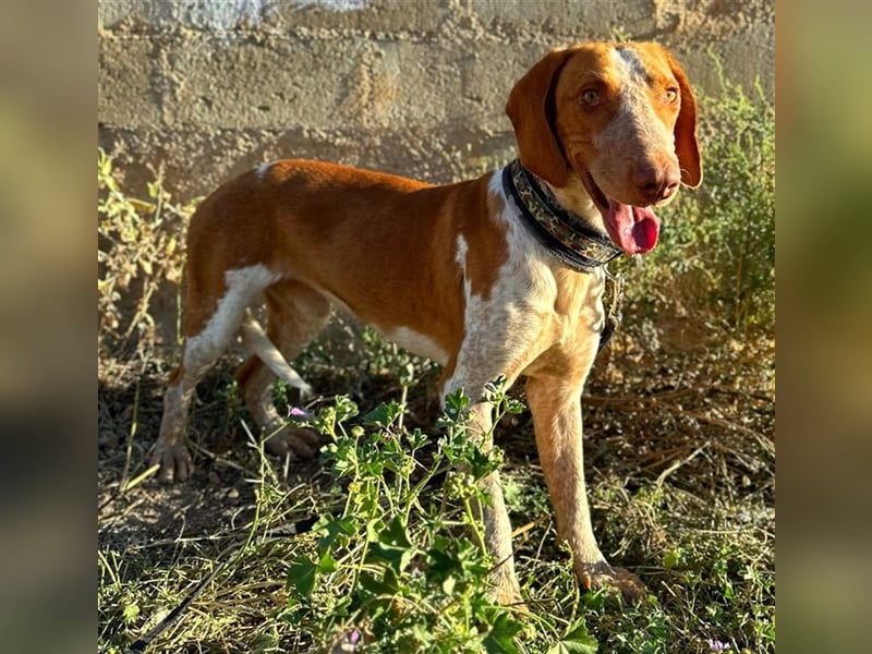 Ringo – Schluss mit der Opferrolle!