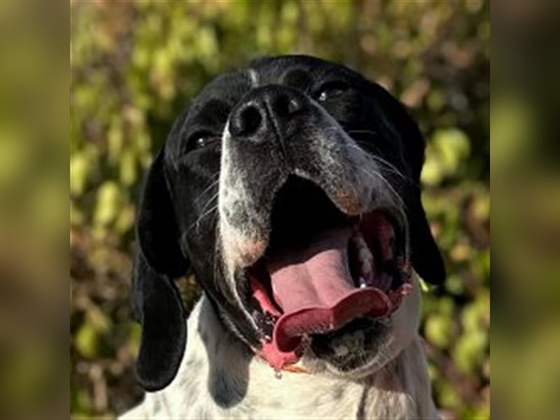 Bruno – für jeden Spaß zu haben