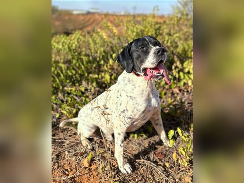 Bruno – für jeden Spaß zu haben