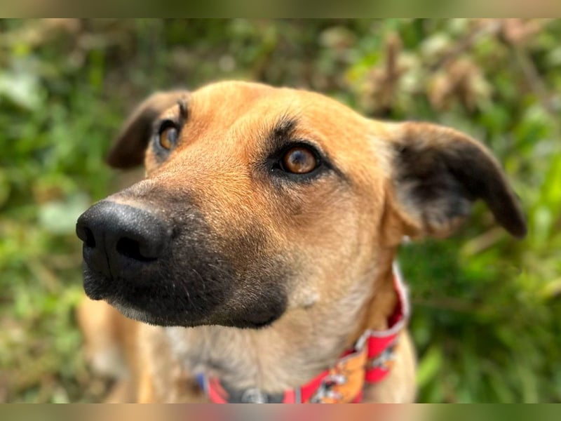 Thalia - liebevolles Kuschelmonster