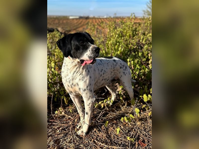 Bruno – für jeden Spaß zu haben