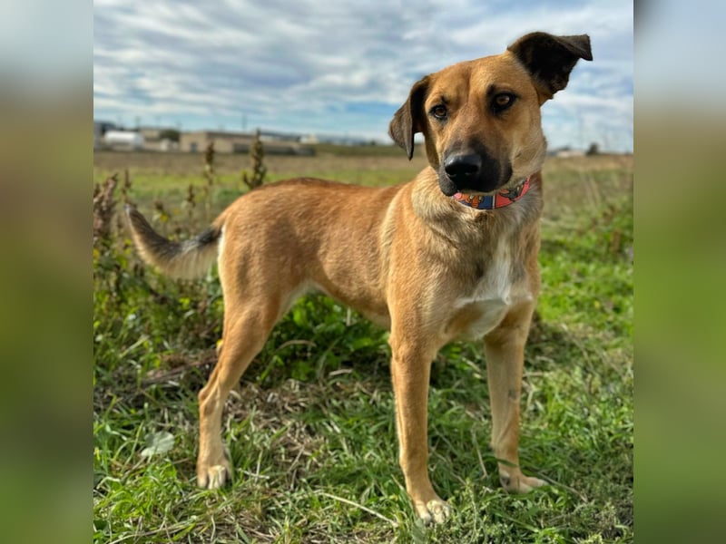 Thalia - liebevolles Kuschelmonster