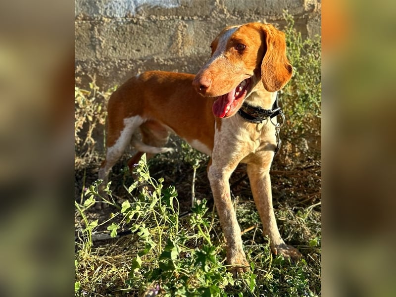 Ringo – Schluss mit der Opferrolle!