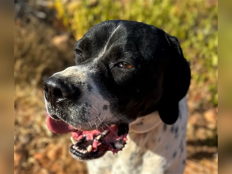 Bruno – für jeden Spaß zu haben