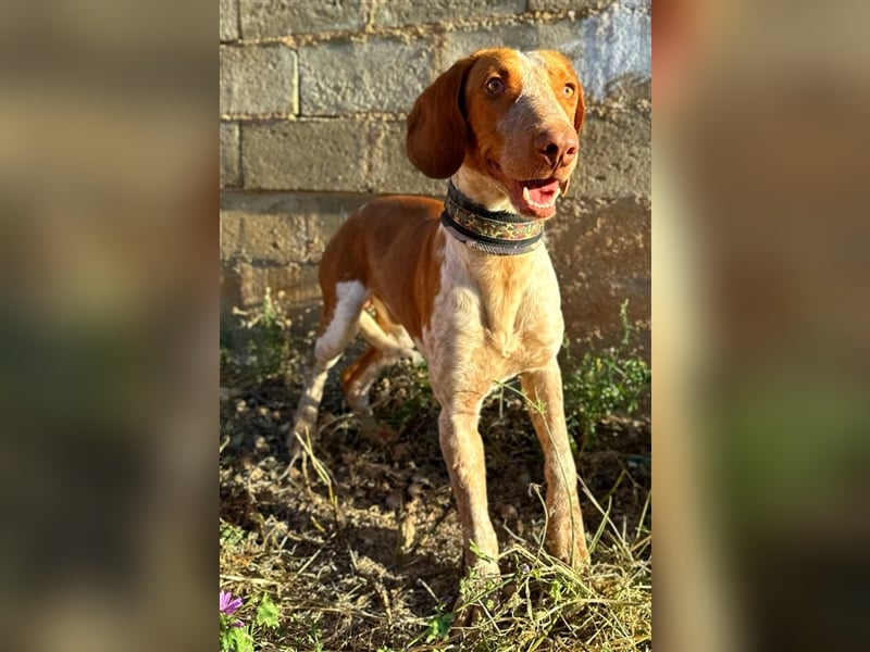 Ringo – Schluss mit der Opferrolle!