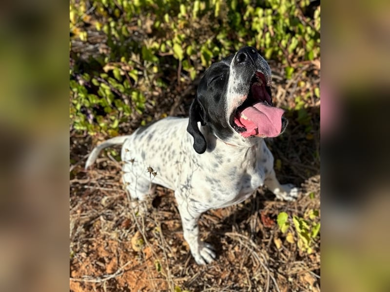 Bruno – für jeden Spaß zu haben