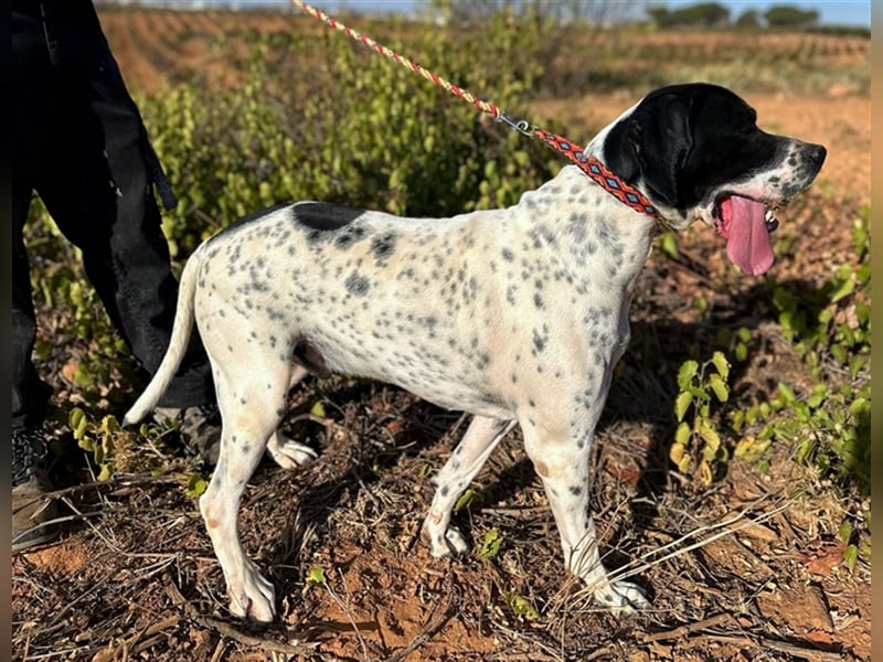 Bruno – für jeden Spaß zu haben