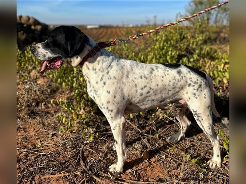 Bruno – für jeden Spaß zu haben