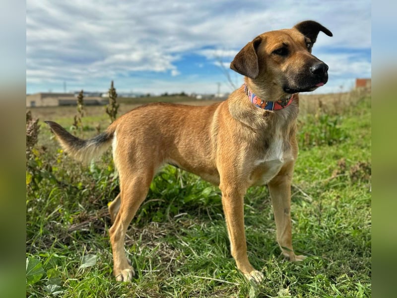 Thalia - liebevolles Kuschelmonster