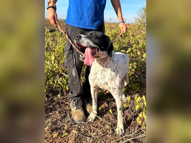 Bruno – für jeden Spaß zu haben