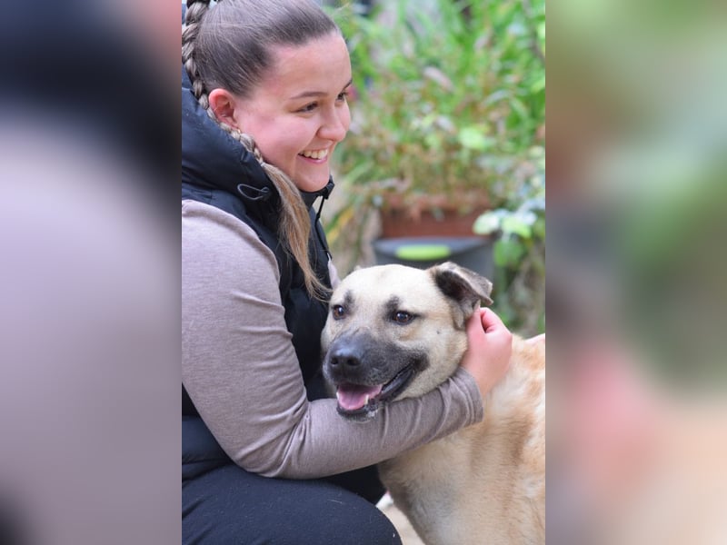 Lisa - freundliche, liebevolle Hündin die anfangs etwas schüchtern ist