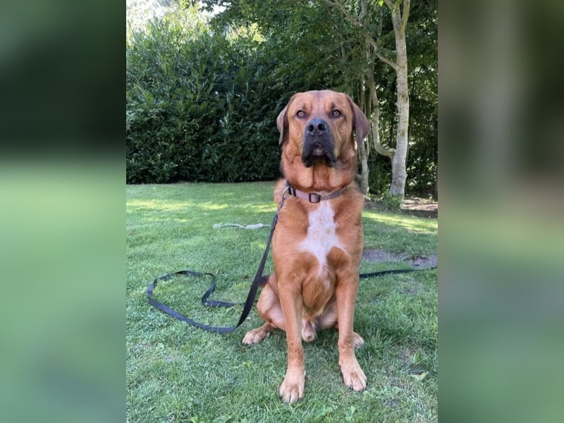 Dringend neues Zuhause gesucht