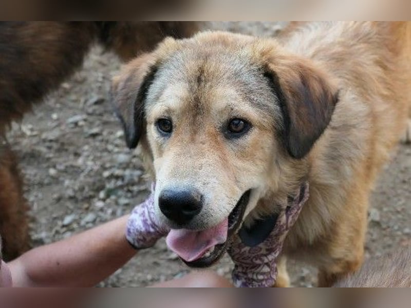 liebe und wunderschöne Praha