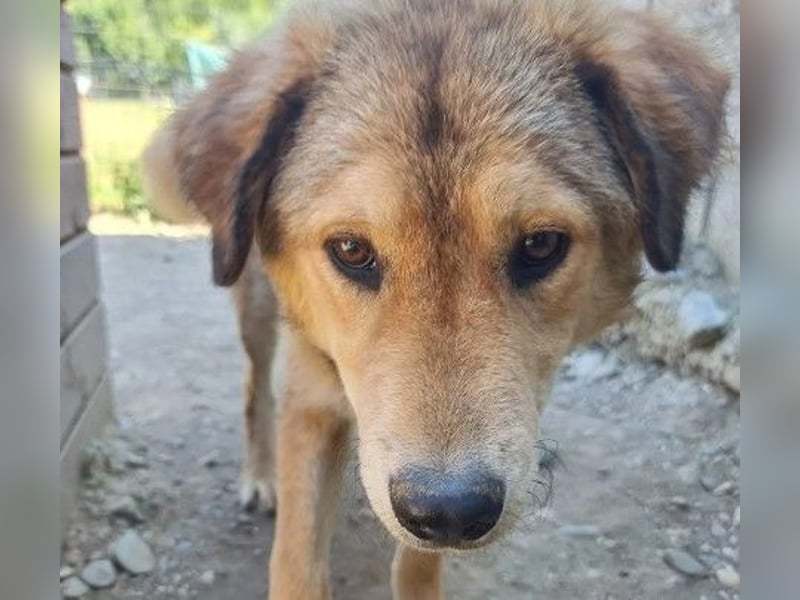 liebe und wunderschöne Praha