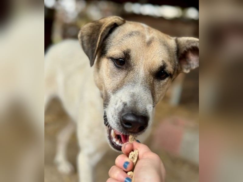 Aliisa unsere hübsche Maus wartet auf ihre Menschen