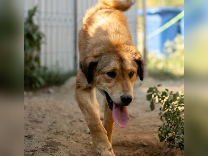 liebe und wunderschöne Praha