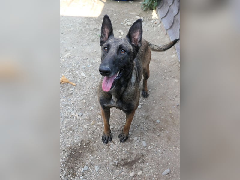 süsse, lernbegierige Gina