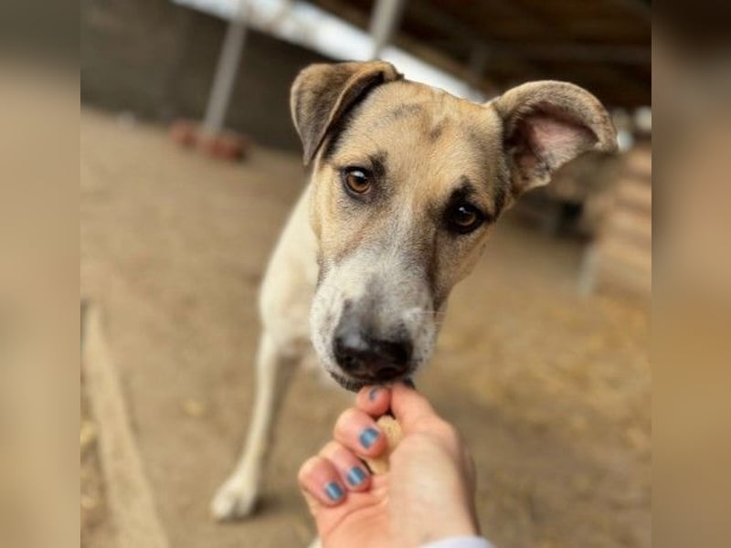 Aliisa unsere hübsche Maus wartet auf ihre Menschen