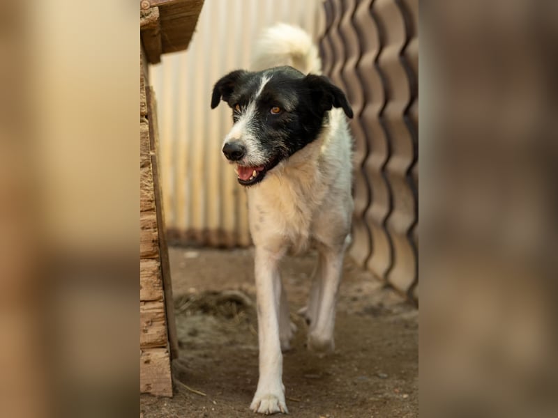 Liebenswerter Eric sucht seine Familie