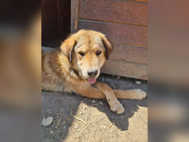 menschenbezogene Praha sucht