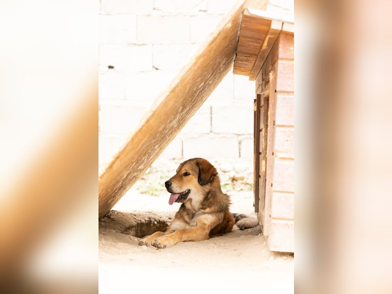 menschenbezogene Praha sucht