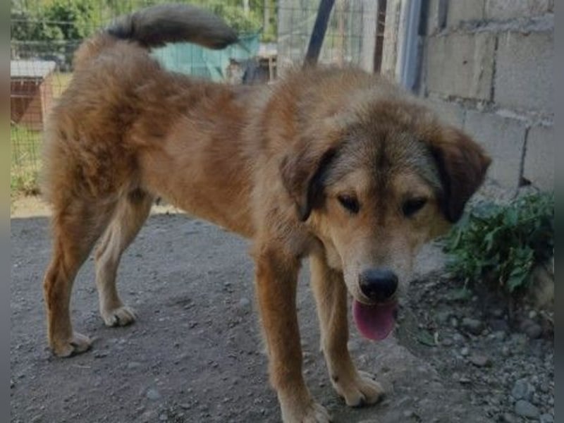 liebe und wunderschöne Praha