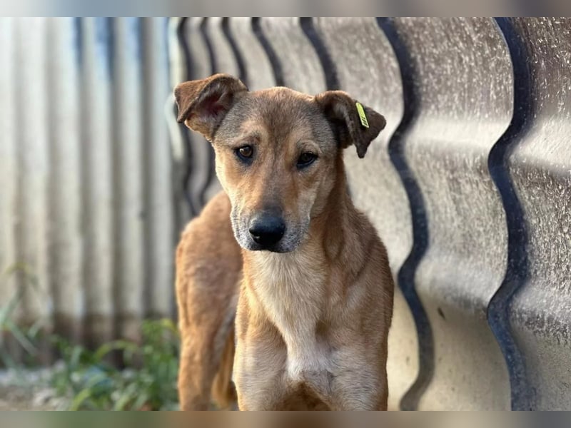 wundervolle, sanfte Janika auf der Suche nach ihren Herzensmenschen 