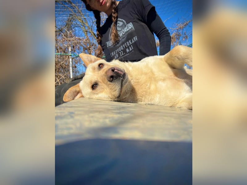 CUBULET wünscht sich so sehr ein Zuhause