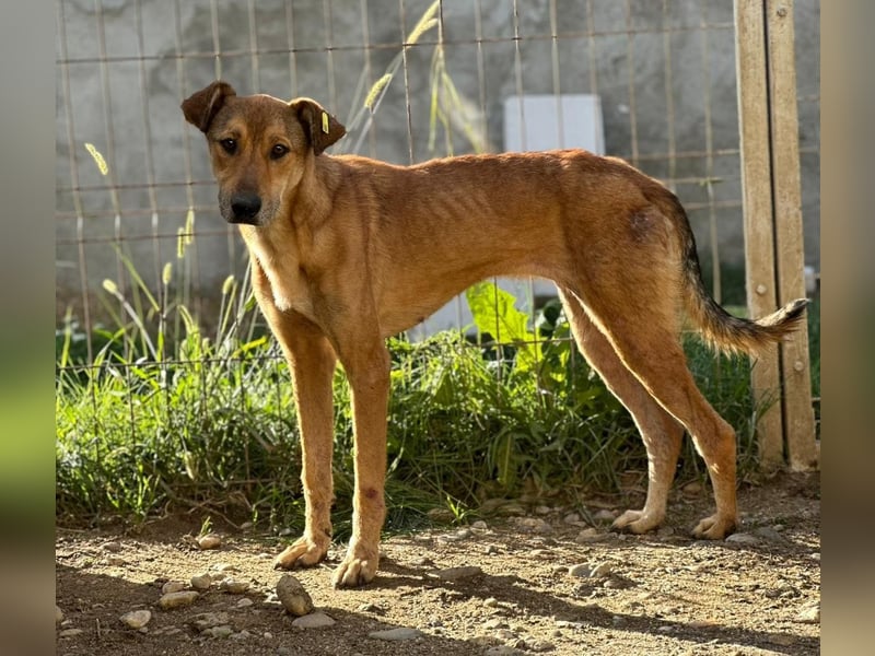 wundervolle, sanfte Janika auf der Suche nach ihren Herzensmenschen 