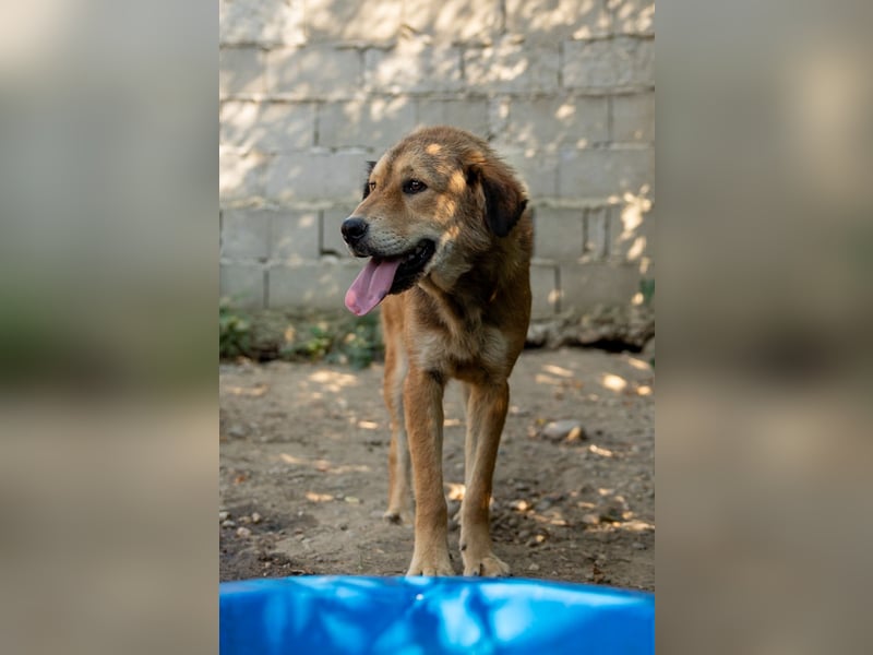 menschenbezogene Praha sucht