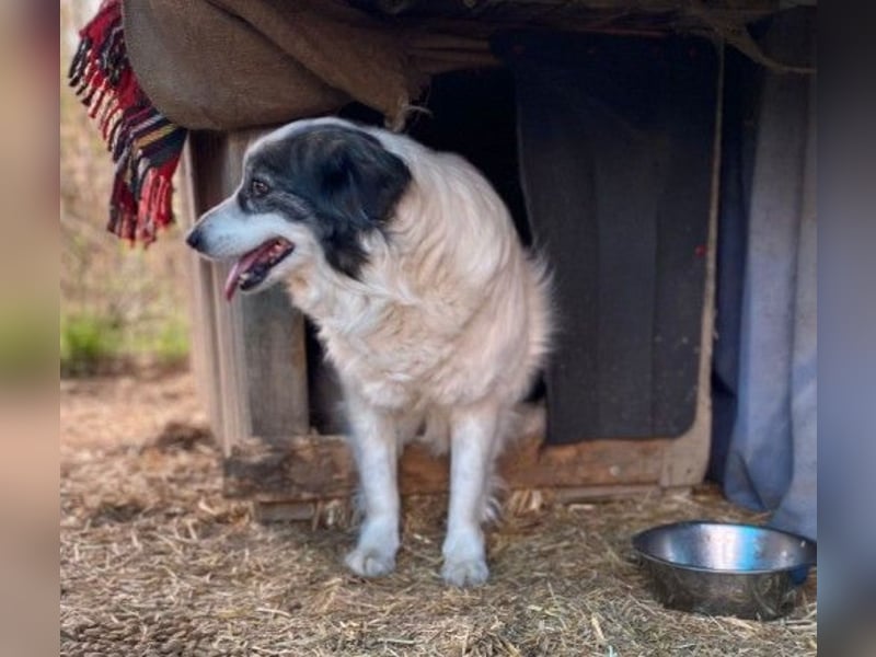 verschmuste BELLA ist lernbegierig