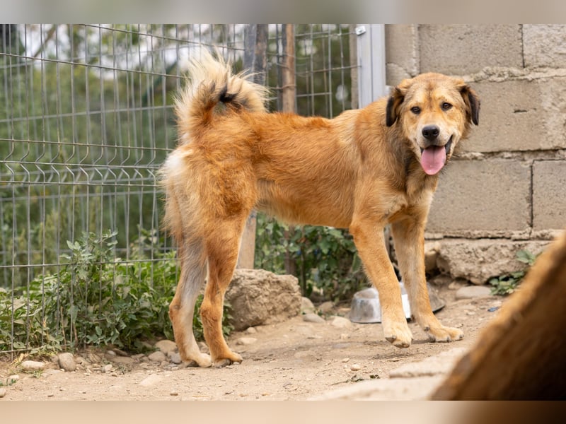 menschenbezogene Praha sucht