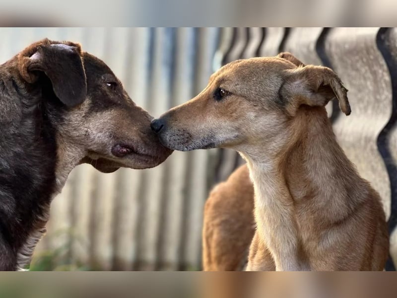 wundervolle, sanfte Janika auf der Suche nach ihren Herzensmenschen 
