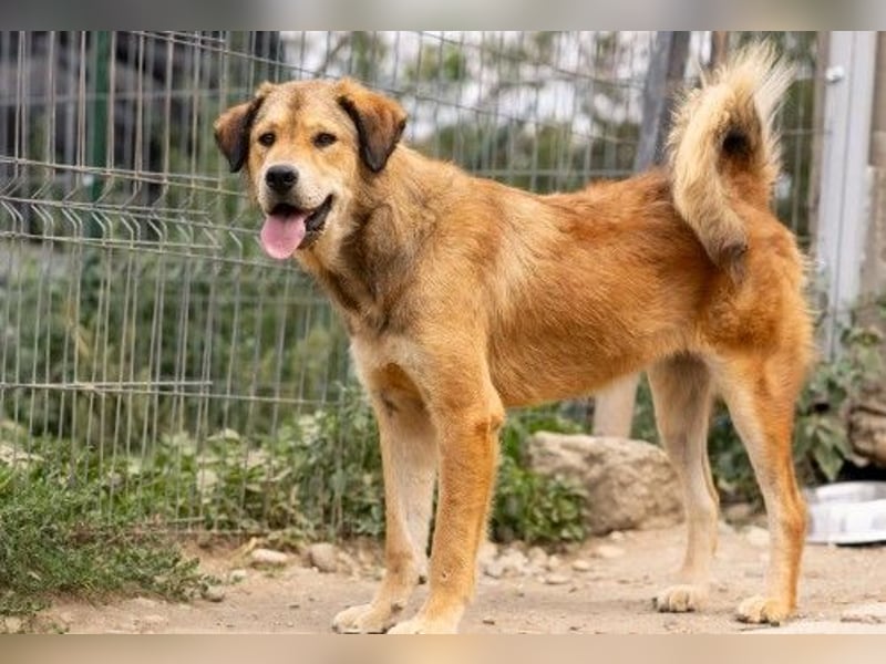 liebe und wunderschöne Praha