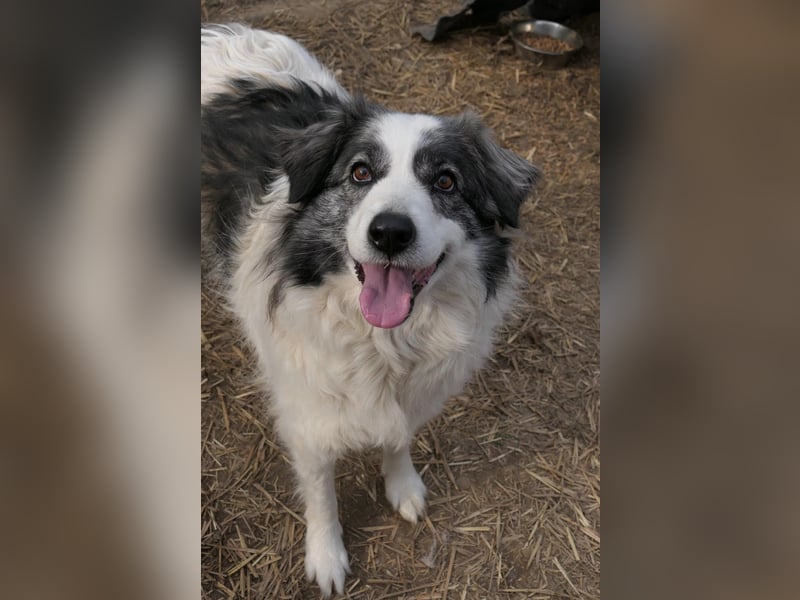 verschmuste BELLA ist lernbegierig