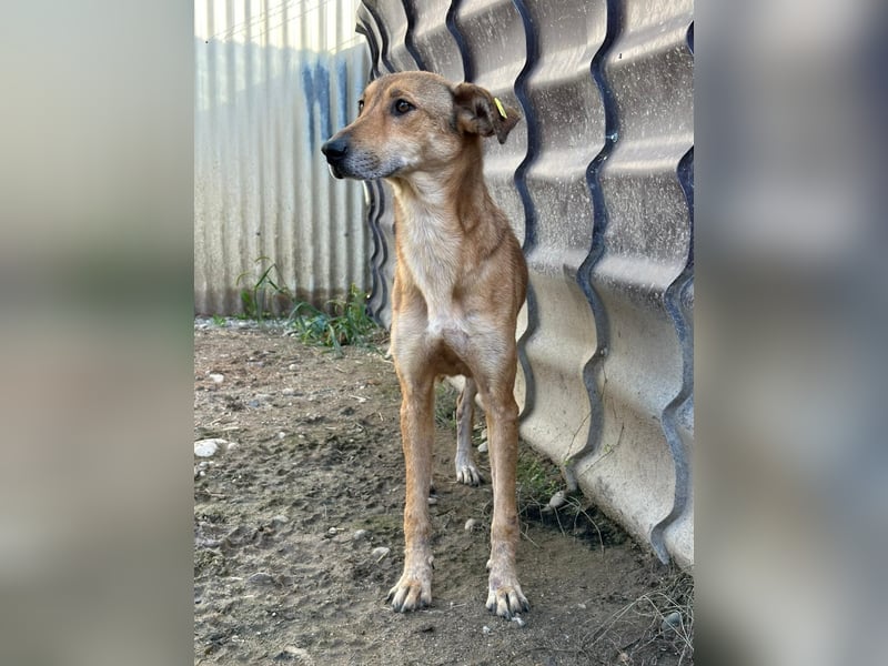 wundervolle, sanfte Janika auf der Suche nach ihren Herzensmenschen 